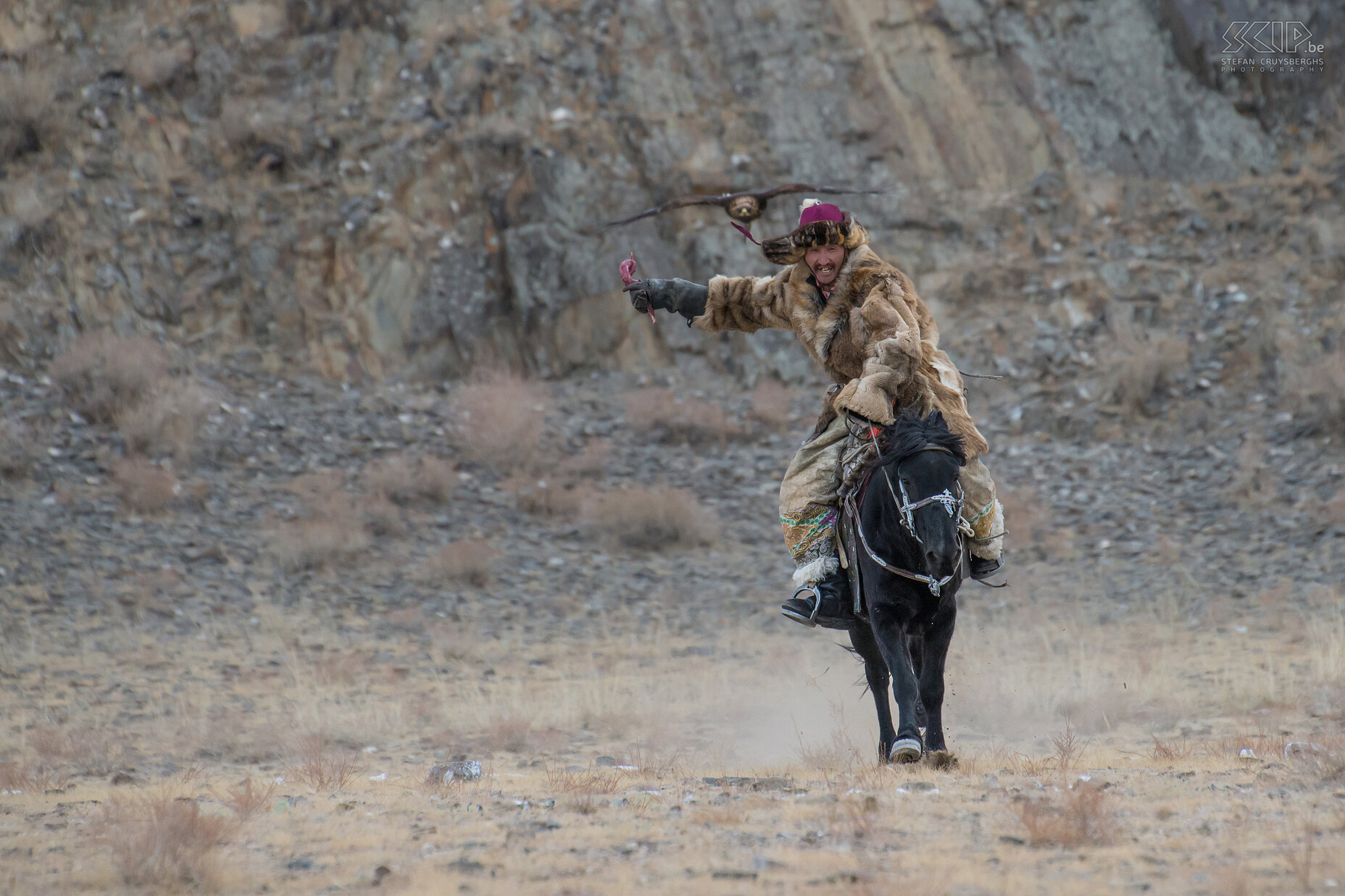 Ulgii - Golden Eagle Festival - Nurgaiv De wereld evolueert razendsnel, maar de Kazakken blijven de oude traditie van het trainen en jagen met steenarenden vol passie verderzetten. De arend van Nurgaiv komt met volle snelheid aanvliegen om het vlees te pakken te krijgen. Nurgaiv is de vader van het bekende meisje Ashol-Pan. Stefan Cruysberghs